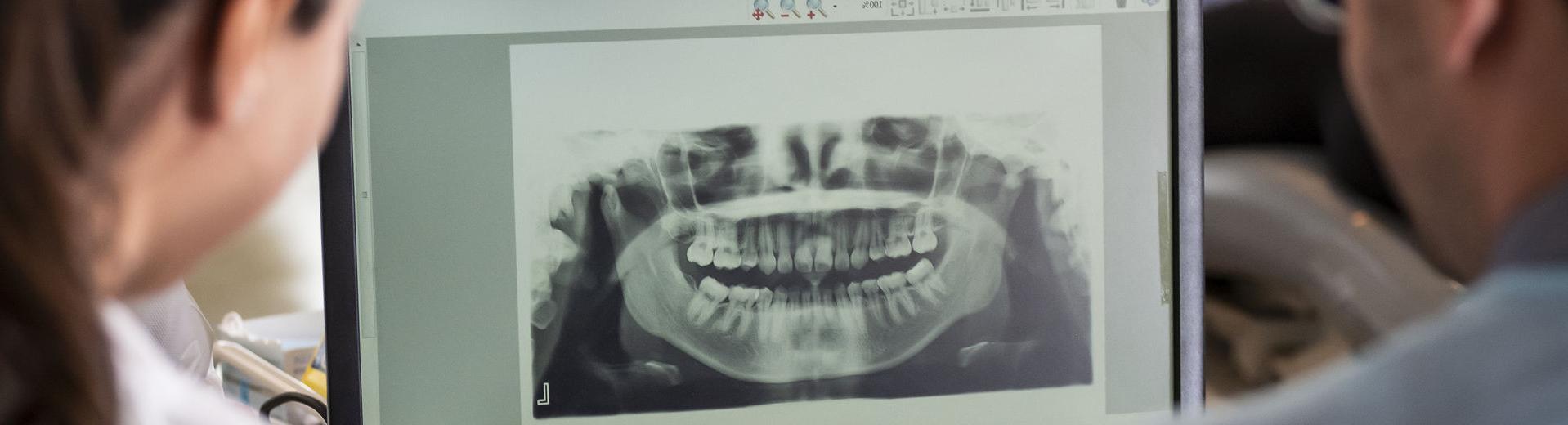 Two dentistry students review an x-ray of teeth and gums.
